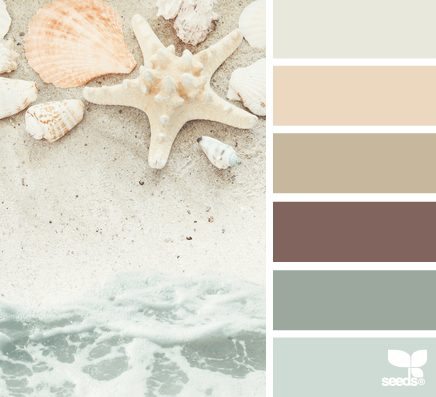 shore colors