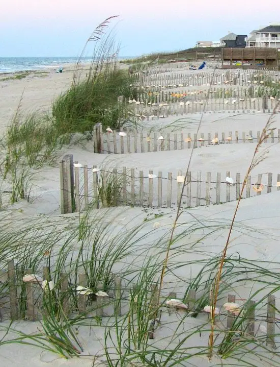 Shell Fences St. George Island, FL