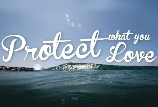 Protect what you Love - Surfrider Foundation