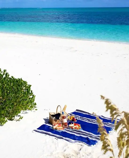 Beach Picnic on Blanket