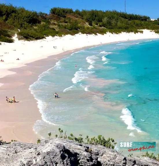 Pretty in Pink -The World's most Famous Pink Sand Beach