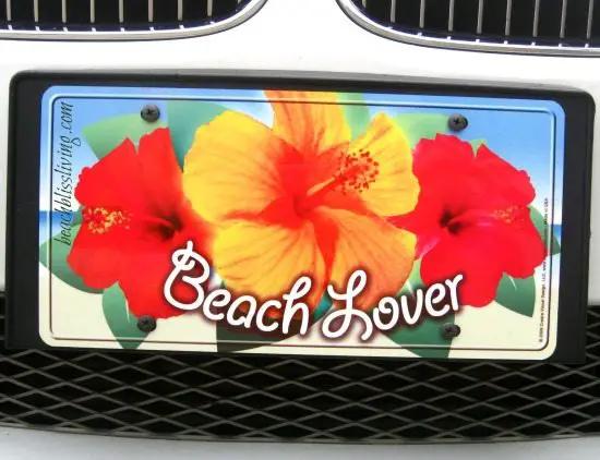 Beach Lover License Plate