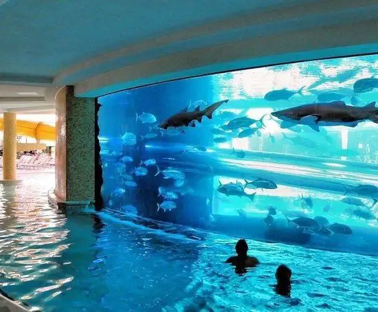 Pool Aquarium San Alfonso Del Mar