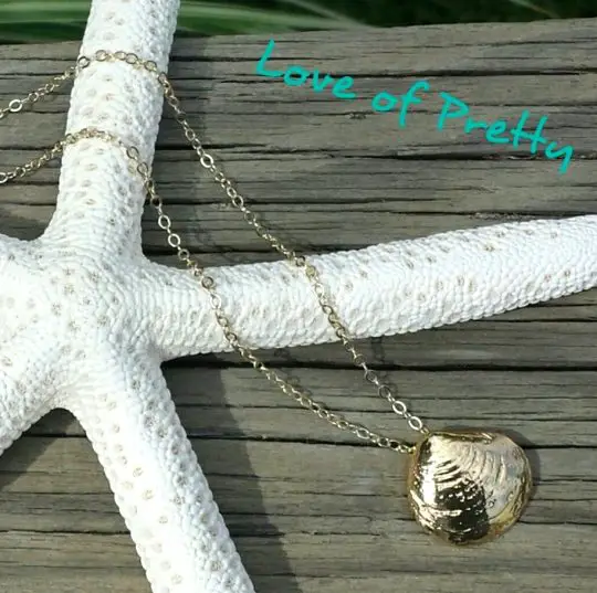 Seashell Necklace Gold