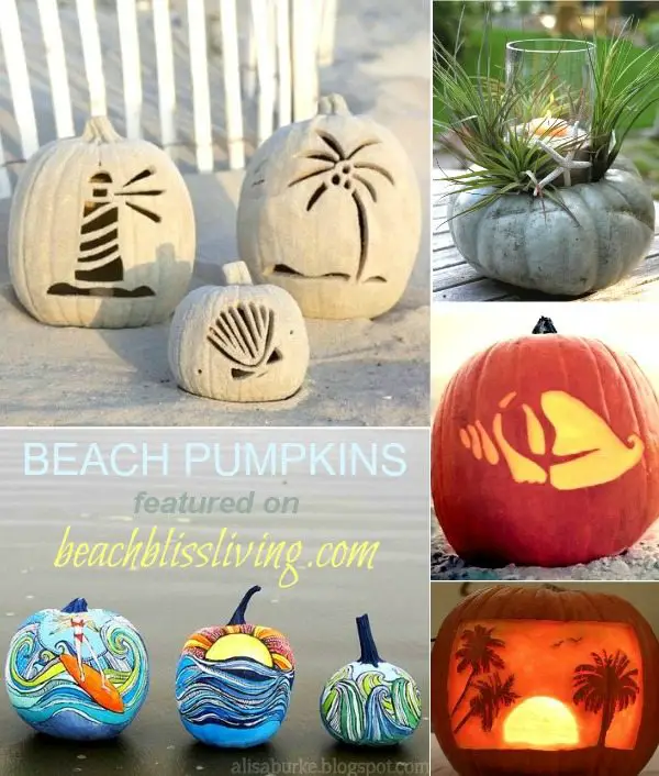 Best Beach Pumpkins