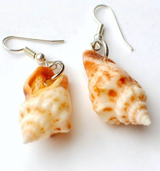 DIY Seashell Earrings