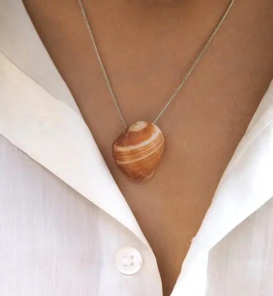 Simple Shell Necklace