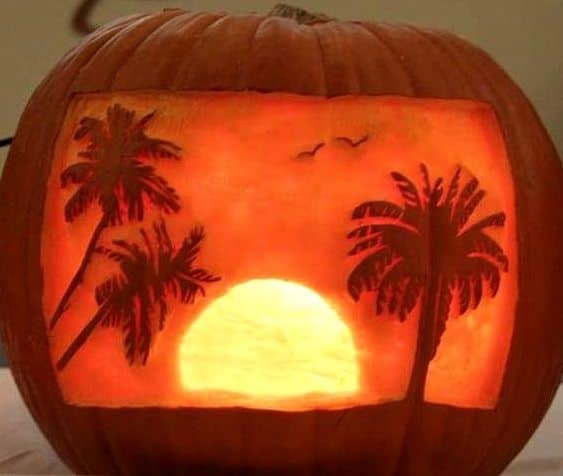 Tropical Palm Tree Carved Pumpkin
