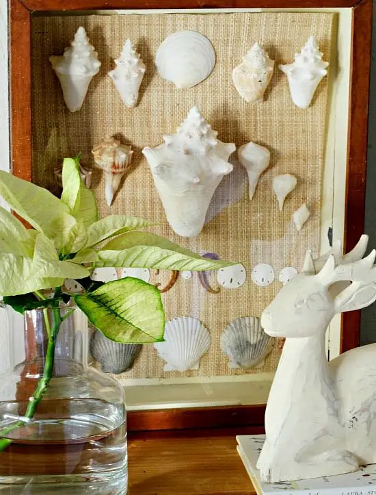 Framed Shell Decor