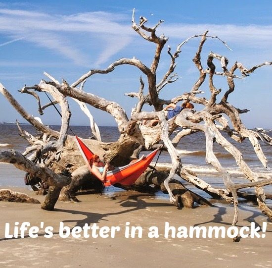 Hammock on a Tree on Jekyll Island