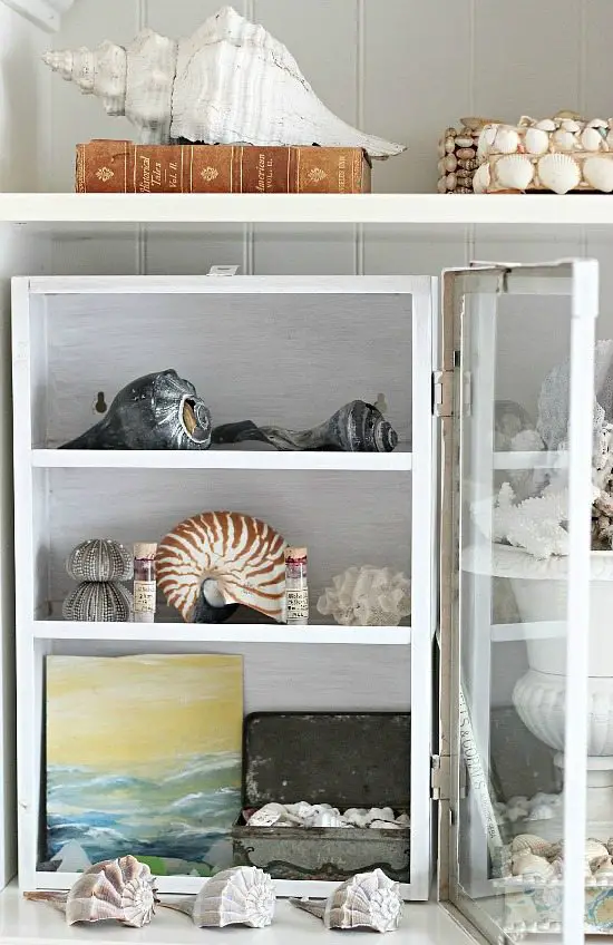 Shell Decor in a Glass Cabinet on a Shelf