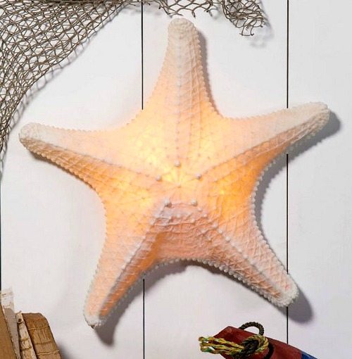 Starfish Wall Sconce Lamp