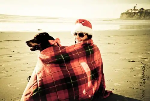 Christmas on the Beach with Dog Photo Shoot