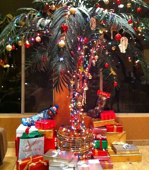 Palm Christmas Tree