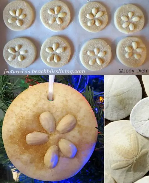 Sand Dollar Cookie Christmas Ornament