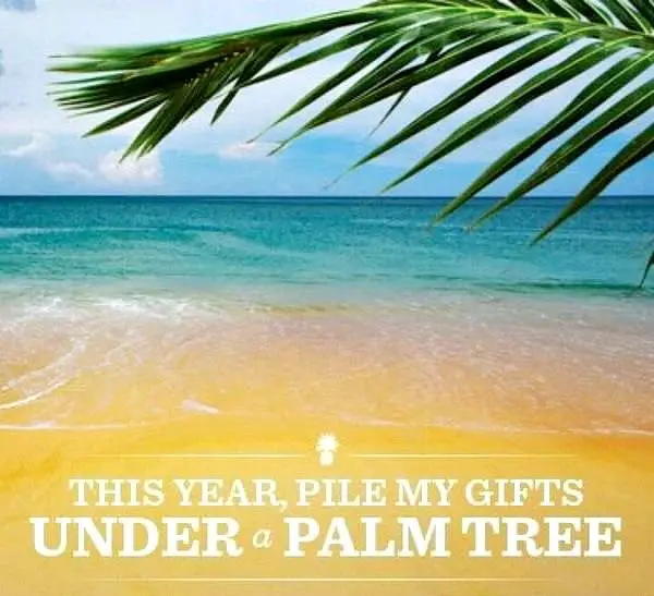 Pile my Gifts under a Palm Tree