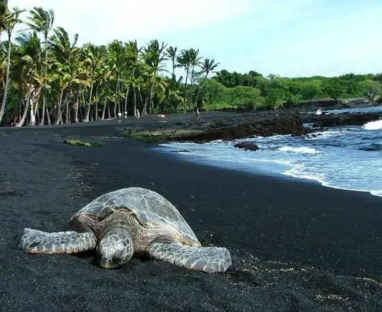 Black Sand Beach in Hawaii