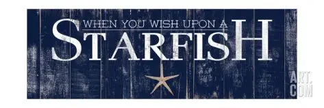 Wish upon a Starfish