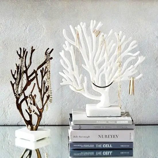 Coral Jewelry Holder