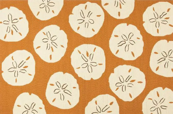 Sand Dollar Rug Meaning