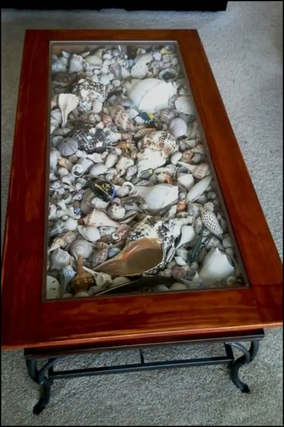 seashell filled coffee table