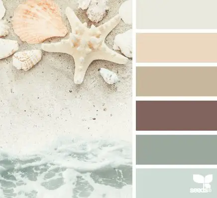 Beach Color Palettes From The S Bliss Living - Driftwood Paint Color Schemes