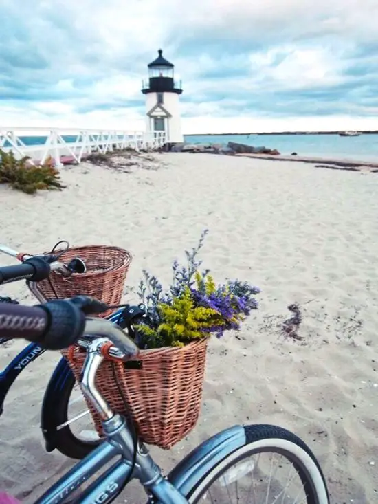 beach bike basket