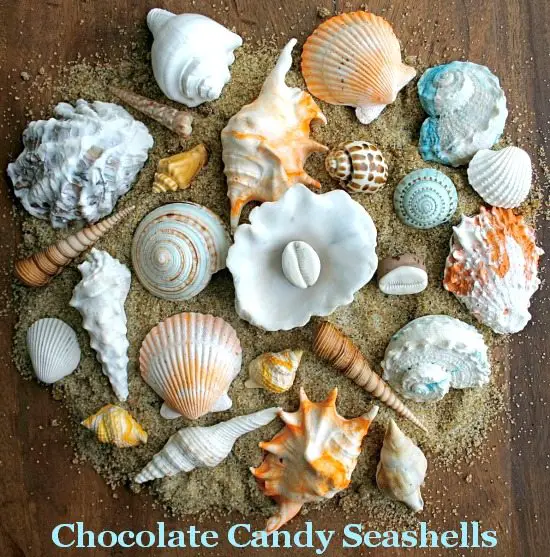 Chocolate Candy Seashells