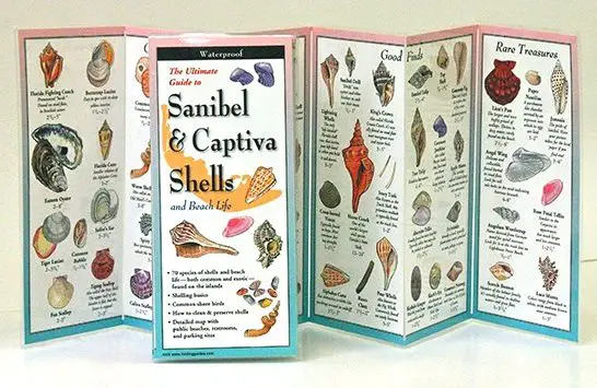 Guía de conchas de Sanibel