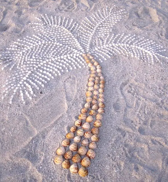 Arte de conchas en la playa de Sanibel
