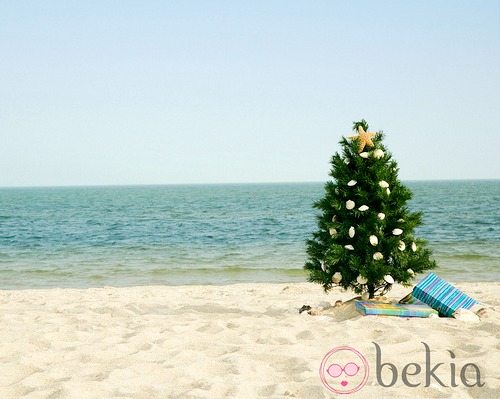 Christmas On The Beach 28 Crazy Cute Christmas Photo Card Ideas Beach Bliss Living