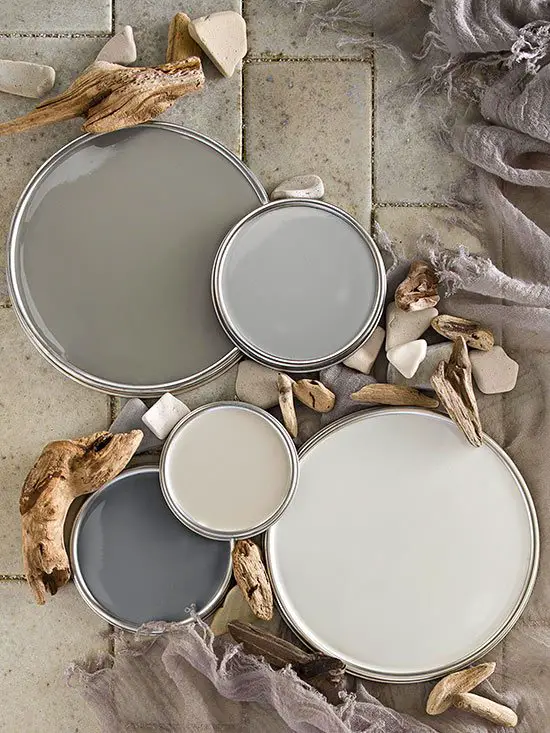 Neutral Gray Beachy Color Scheme