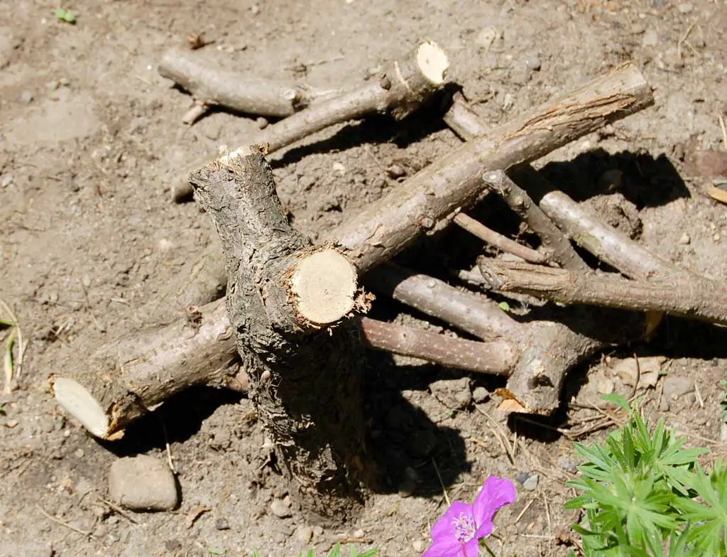 Need Driftwood for your decor... why not make your own? Beach Bliss