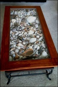 seashell filled coffee table